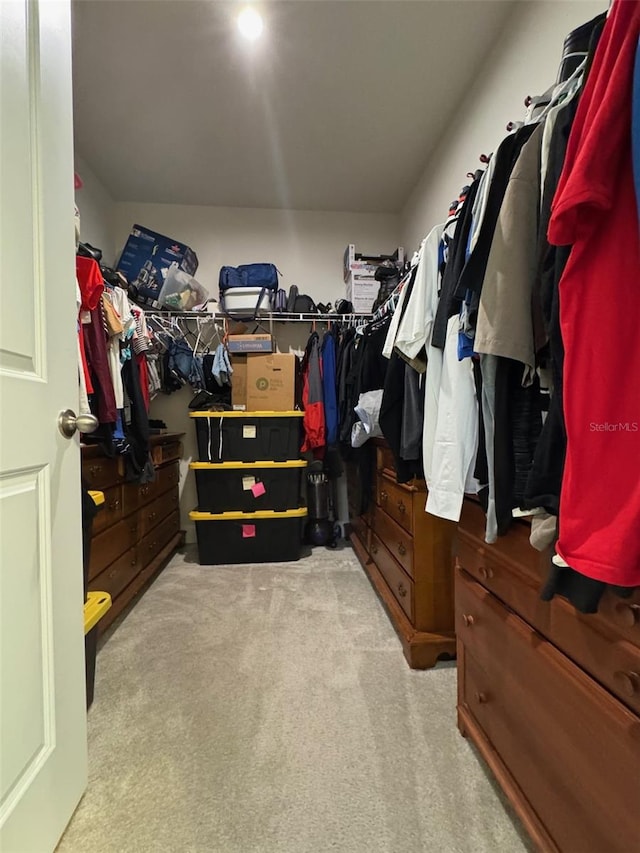 walk in closet with light carpet