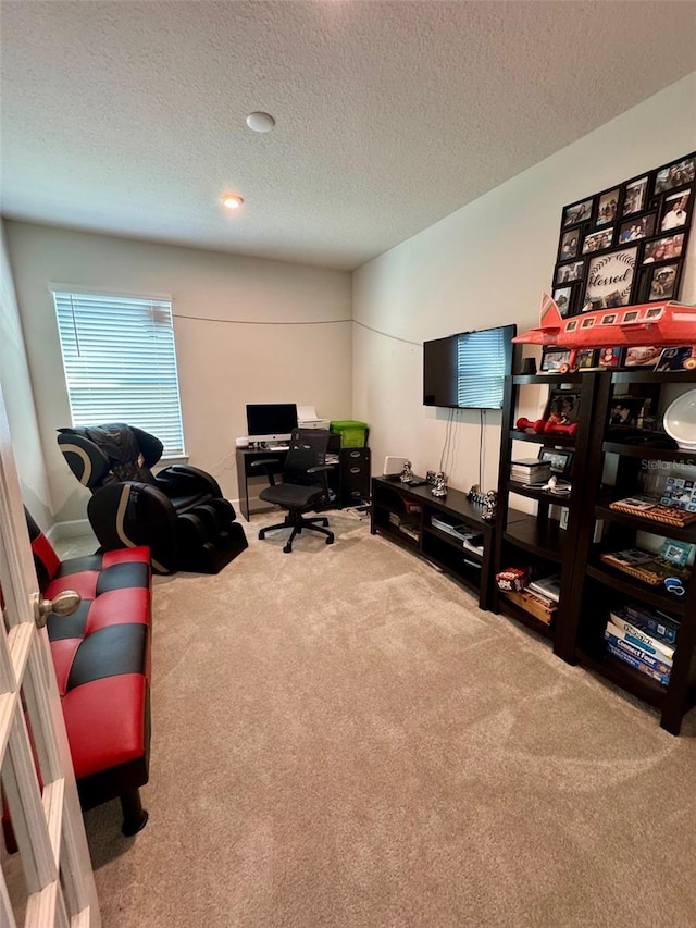 office with carpet flooring and a textured ceiling