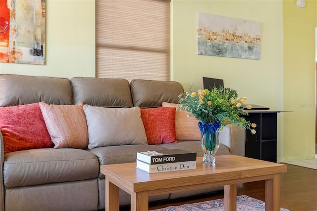 living room featuring hardwood / wood-style floors