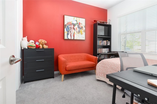 home office with carpet floors