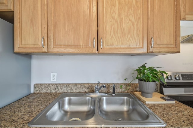 room details with stainless steel electric range, sink, and range hood