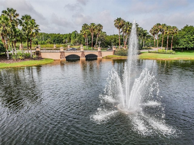 view of water feature