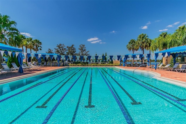 view of pool with a patio