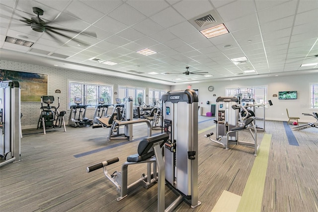 workout area featuring carpet flooring, a paneled ceiling, and ceiling fan