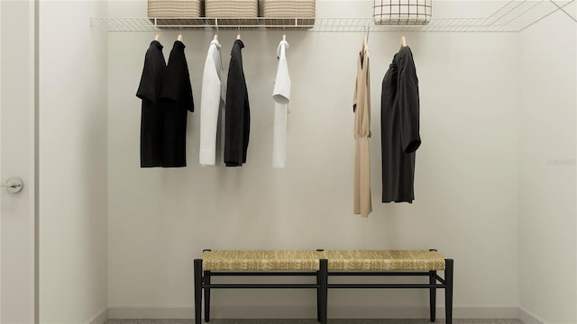 mudroom featuring carpet flooring