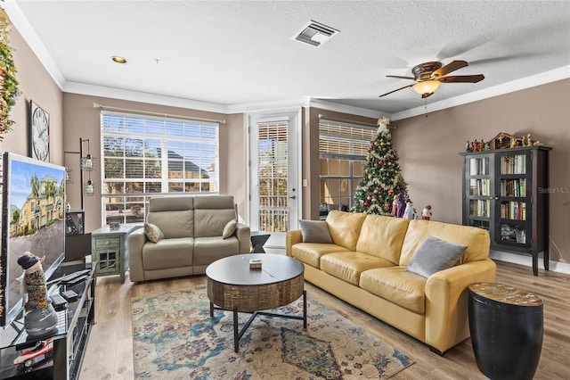 living room featuring a textured ceiling, light hardwood / wood-style flooring, and crown molding