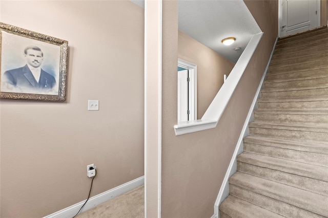 staircase featuring carpet floors