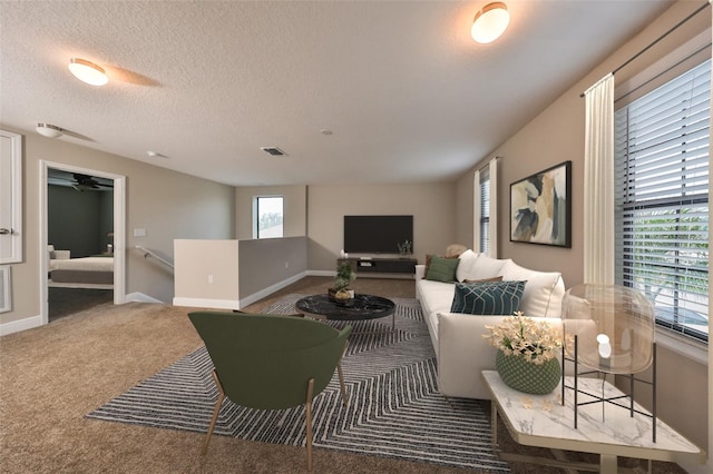 carpeted living room with a textured ceiling