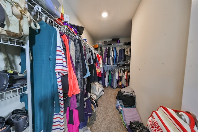 spacious closet featuring carpet