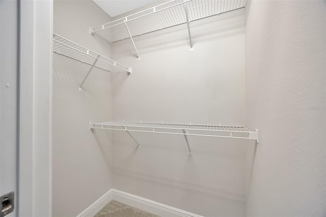 walk in closet featuring carpet flooring