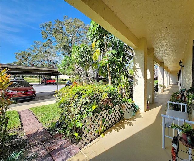 view of patio