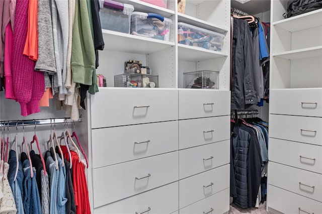 view of walk in closet