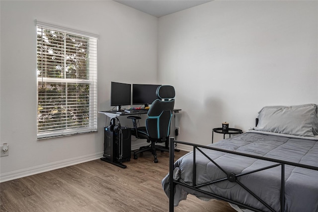 bedroom featuring multiple windows and hardwood / wood-style flooring