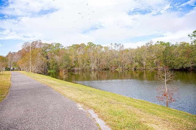 water view with a wooded view