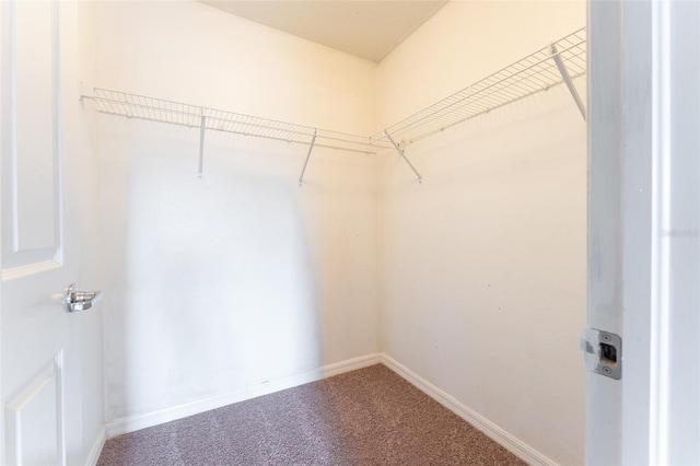 walk in closet with carpet floors