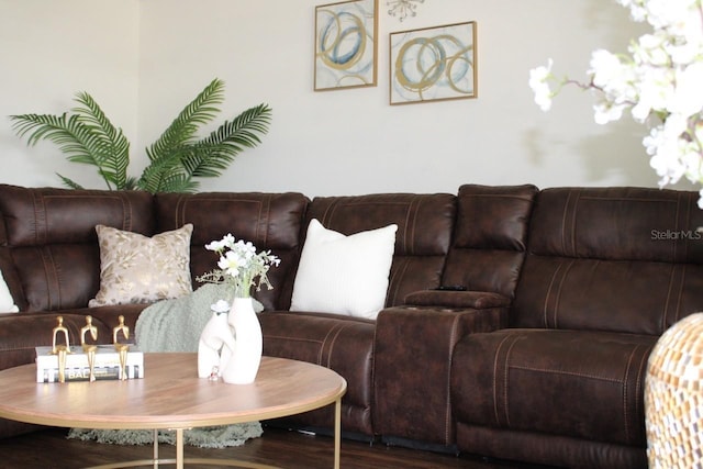 living room with wood-type flooring