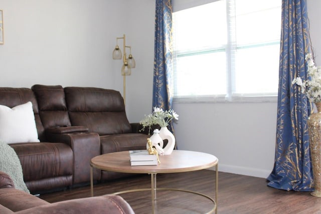 living room featuring dark hardwood / wood-style flooring