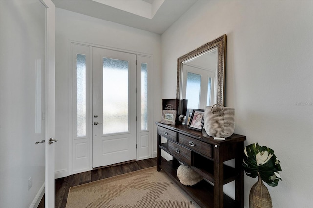 entryway with a wealth of natural light and hardwood / wood-style floors