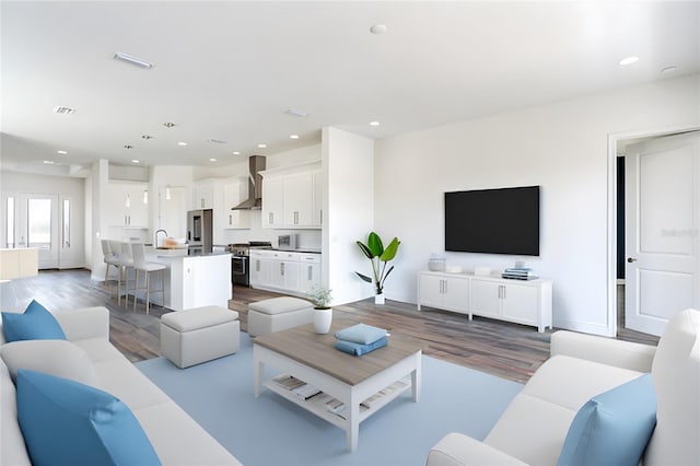 living room with wood-type flooring and sink