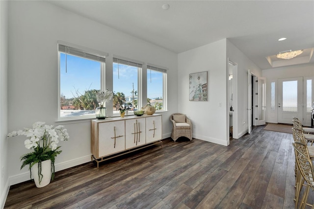 foyer with dark hardwood / wood-style flooring