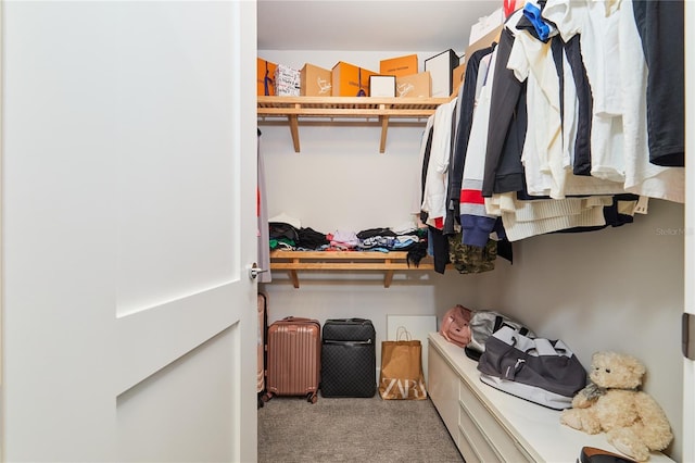 walk in closet with light colored carpet