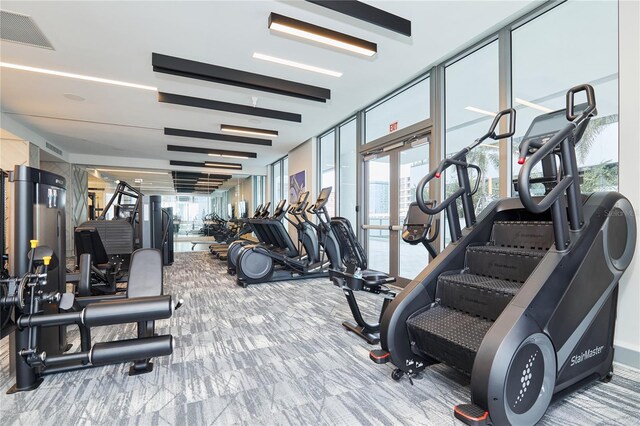 gym featuring carpet floors and expansive windows