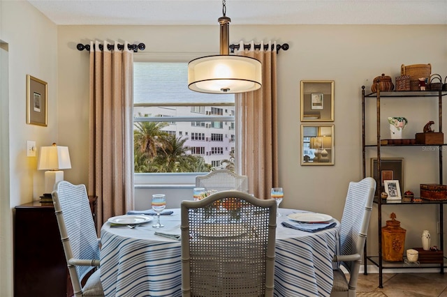 tiled dining room featuring a wealth of natural light