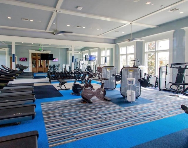 workout area featuring carpet floors