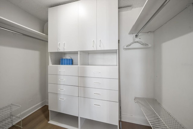 walk in closet with dark hardwood / wood-style flooring