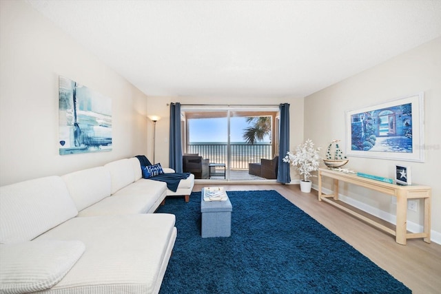 living room with hardwood / wood-style floors