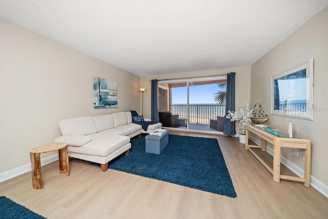 living room with light wood-type flooring