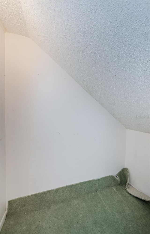 bonus room featuring a textured ceiling, carpet, and vaulted ceiling