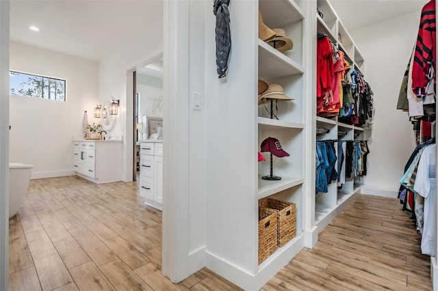 spacious closet with light wood-type flooring