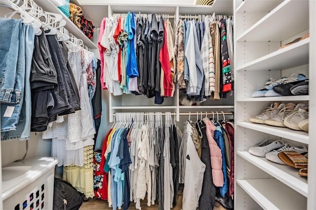 view of walk in closet