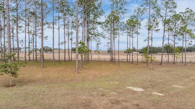 view of yard featuring a rural view