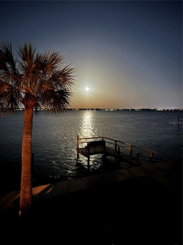 dock area with a water view