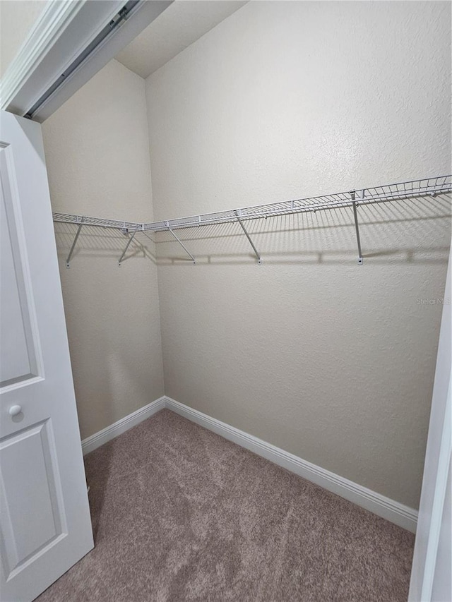 walk in closet featuring carpet