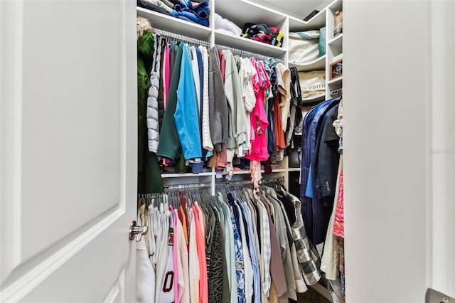 view of spacious closet