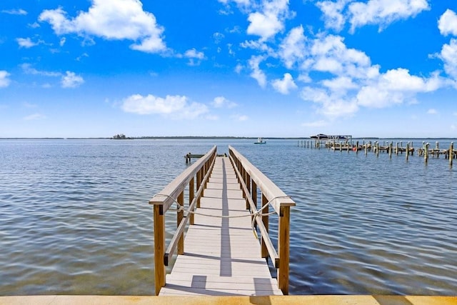 dock area with a water view