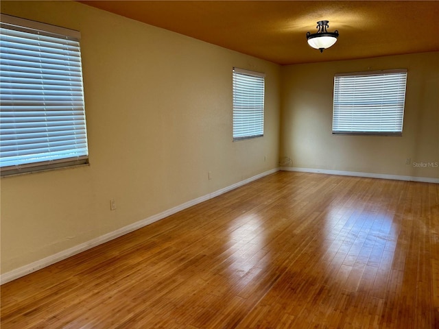 empty room featuring light hardwood / wood-style floors and plenty of natural light