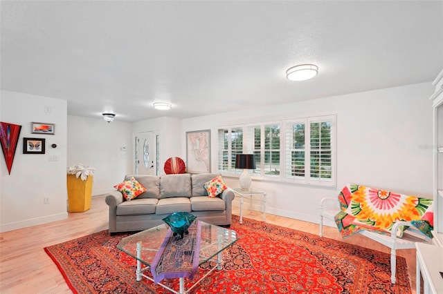 living room featuring light hardwood / wood-style floors