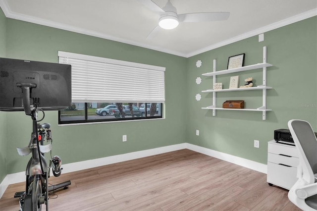 office area with ceiling fan, light wood-type flooring, and ornamental molding