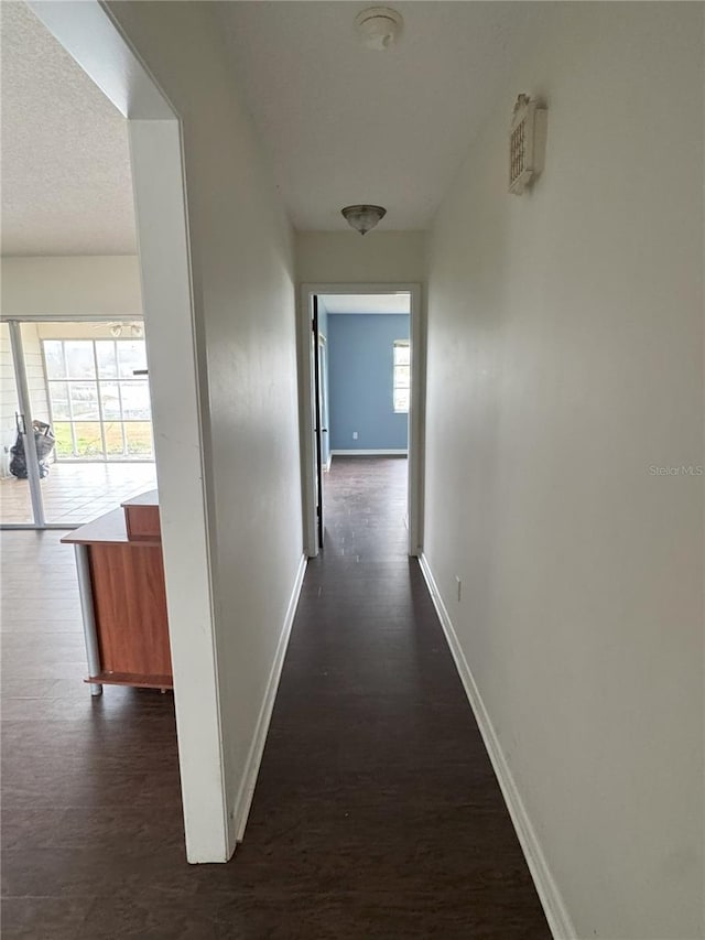 corridor featuring dark hardwood / wood-style flooring