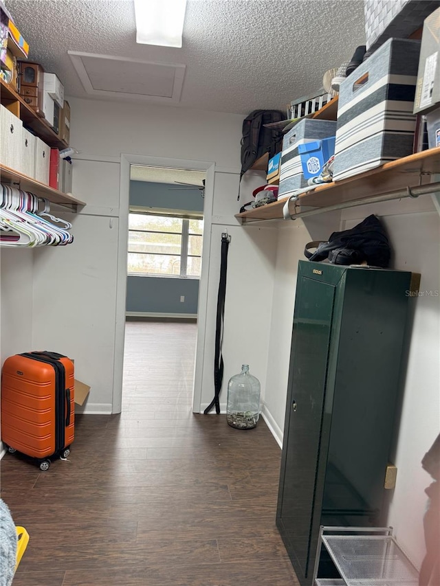 spacious closet with dark wood-type flooring