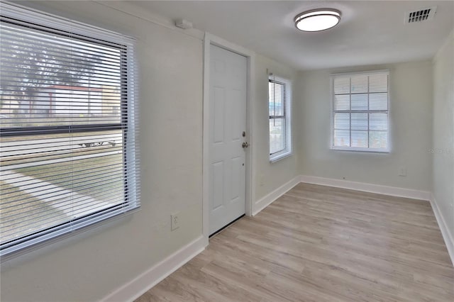 foyer entrance with light hardwood / wood-style floors and a healthy amount of sunlight