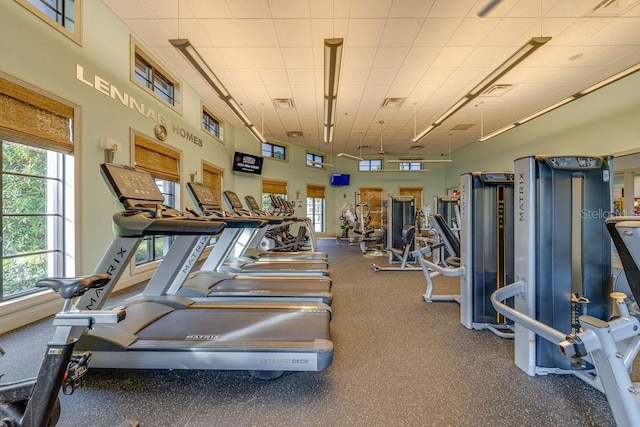 exercise room featuring a wealth of natural light