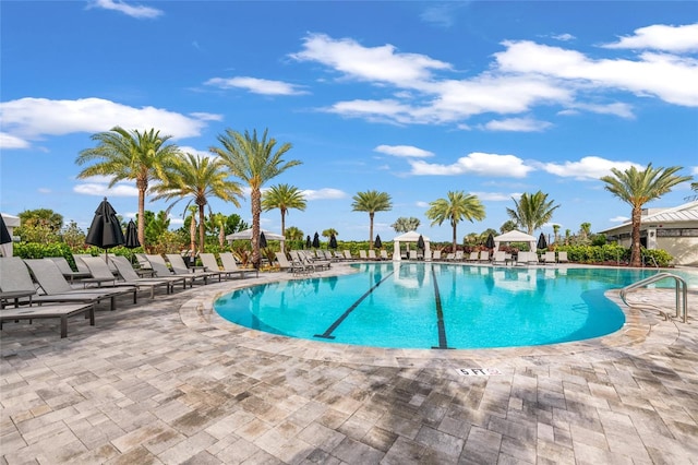 view of swimming pool with a patio area