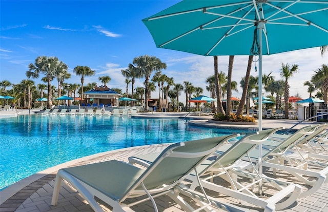 view of swimming pool featuring a patio