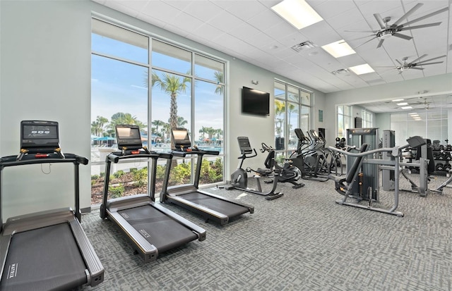 workout area featuring a drop ceiling, plenty of natural light, and ceiling fan