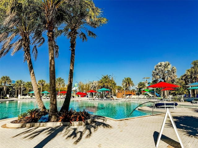 1166 Aloha Blvd, Davenport, FL 33897 - community pool featuring a patio